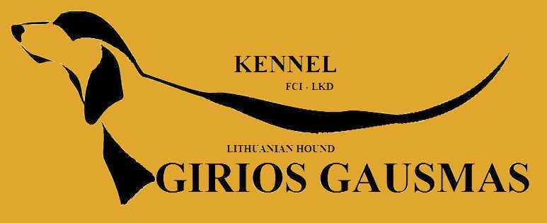 Girios gausmas – nuotrauka 2 iš 2