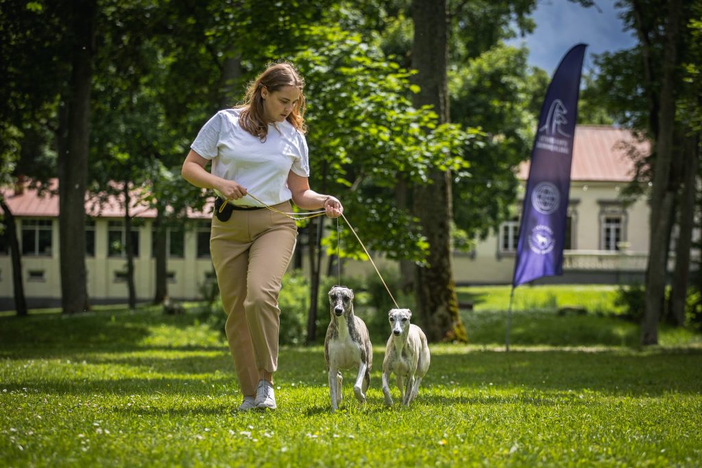Aksominis vejas – nuotrauka 10 iš 17